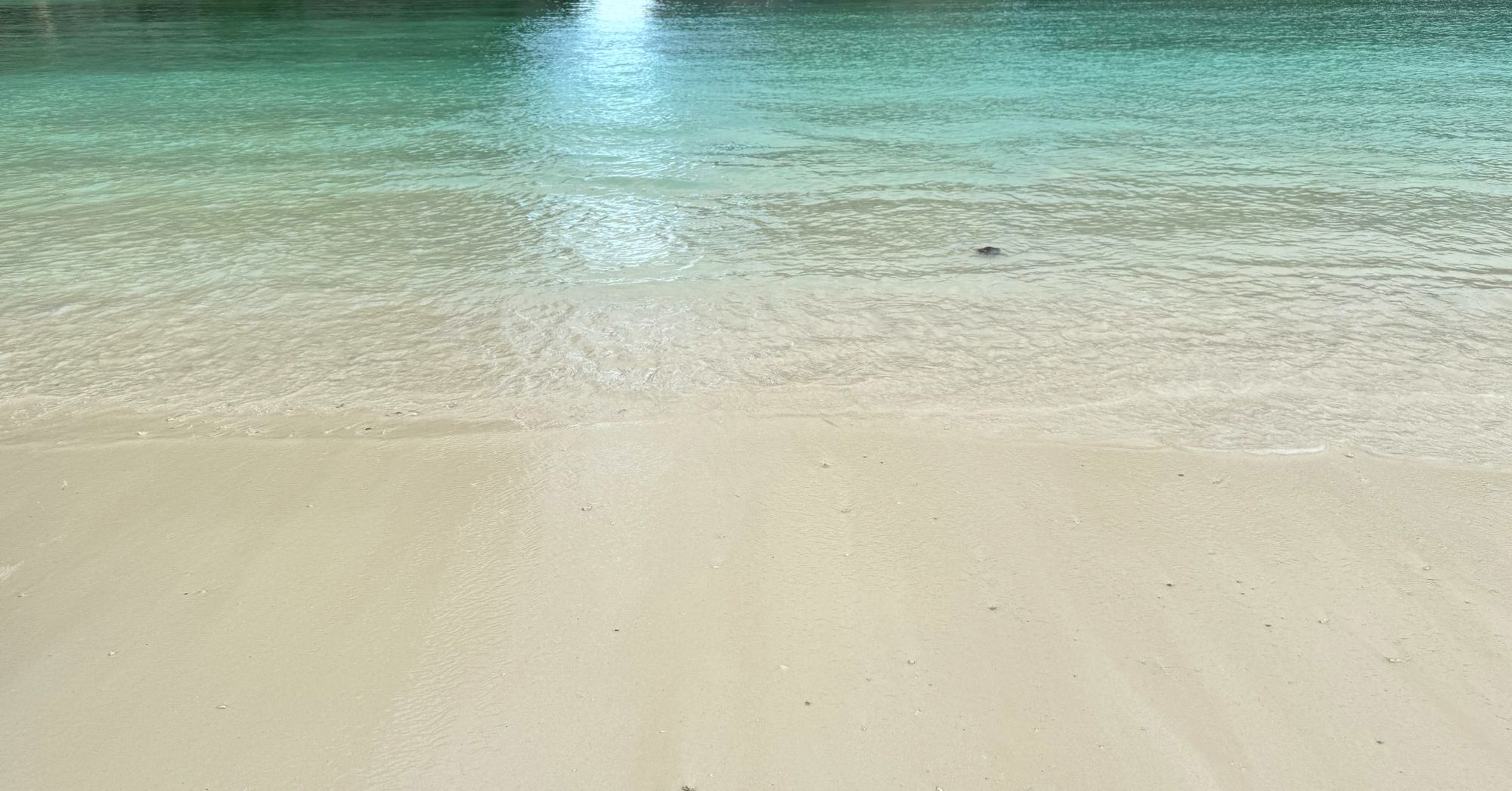 Clear aqua water over pale sand